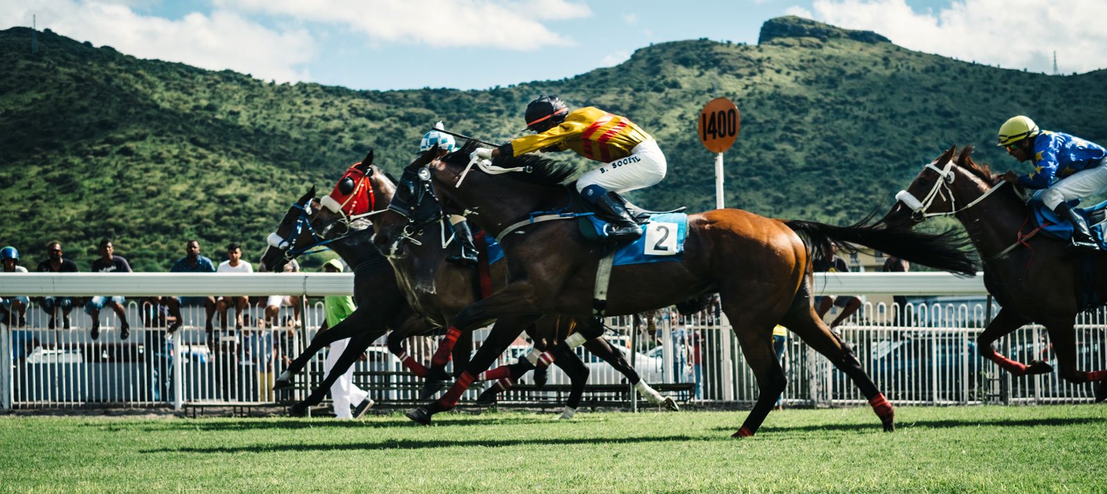 Horse Sports