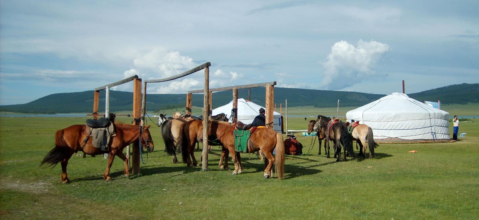 Horseback tours with camps