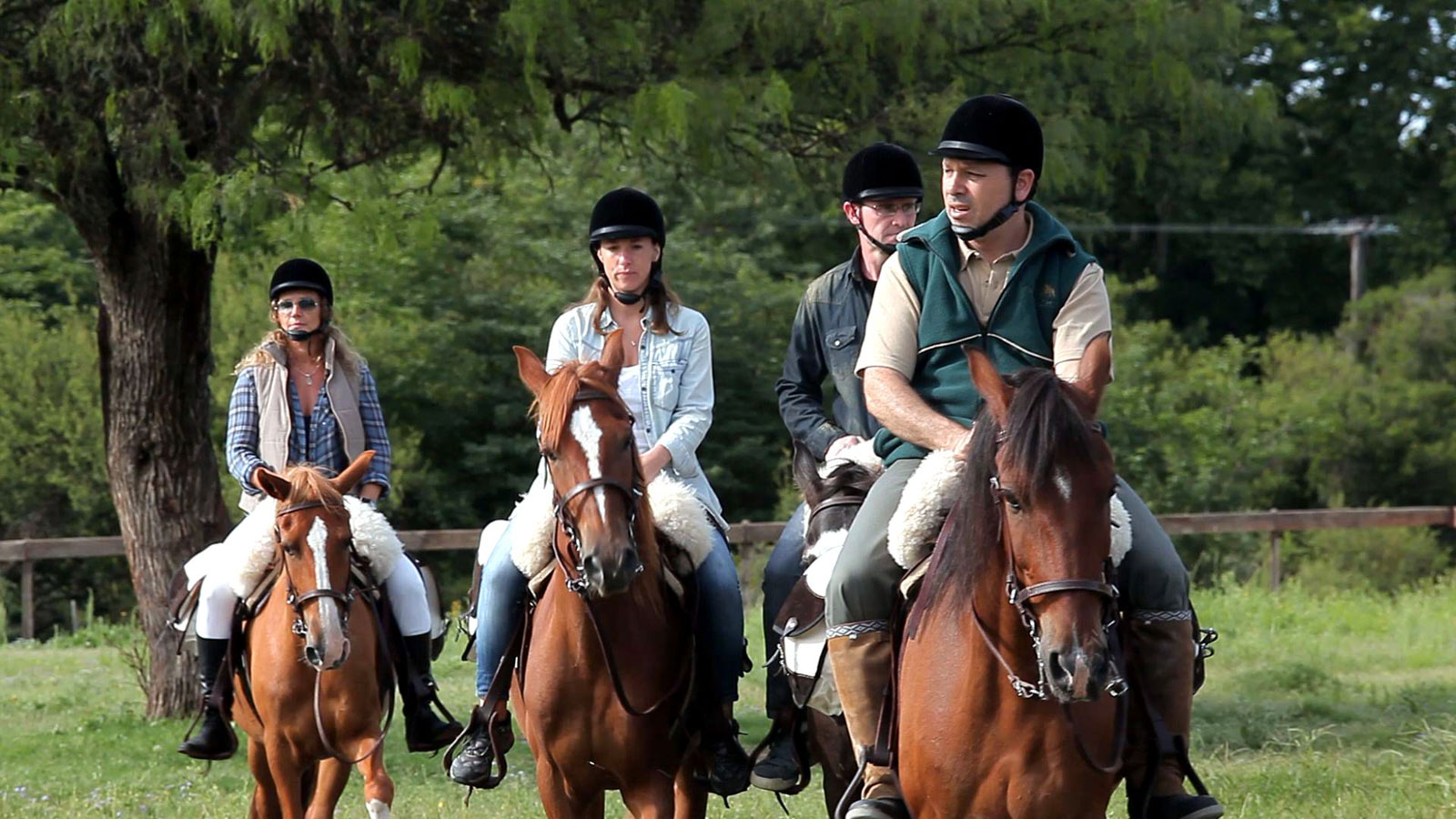 Riding courses for beginners and special disciplines