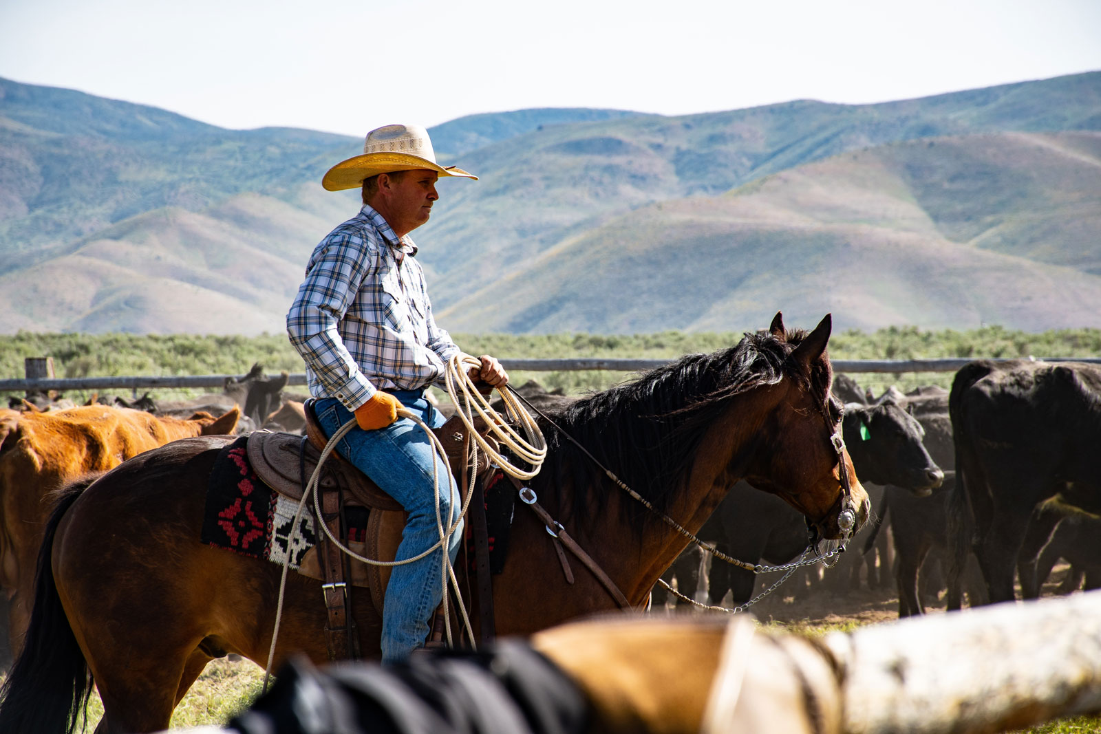Equestrian holidays on a ranch or estancia