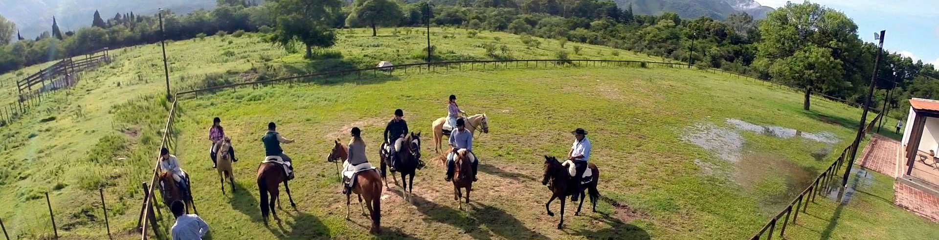 Pferderassen zum Reiten