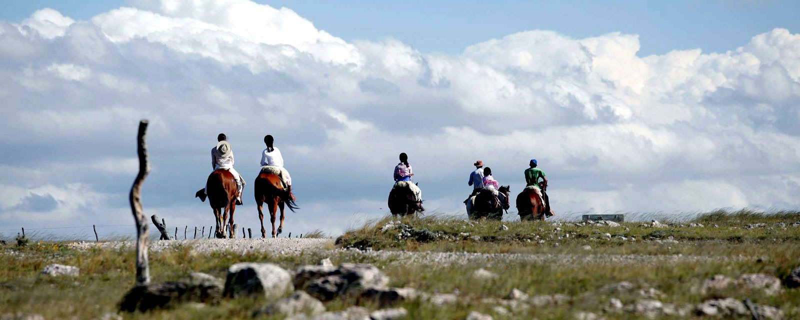 Peruanisches Paso-Pferd - Reittouren in Argentinien