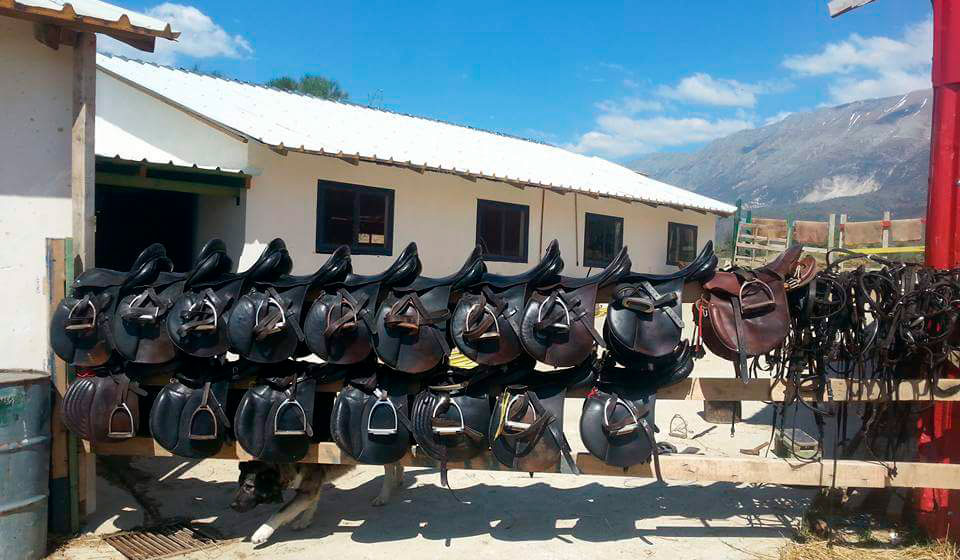 Saddles prepared for the ride