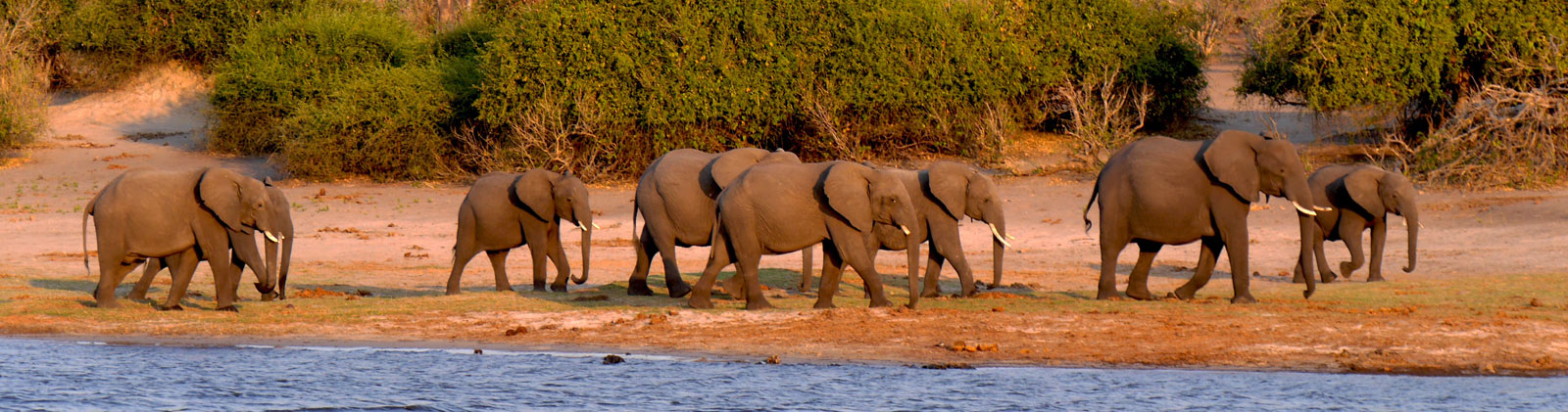 Vacaciones a caballo en Botswana