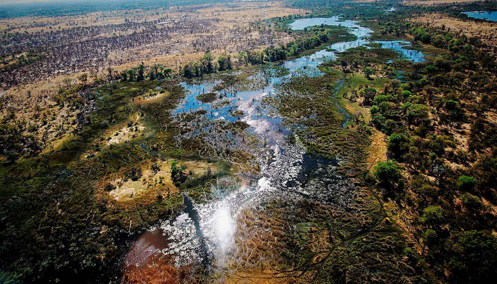 Delta del Okavango