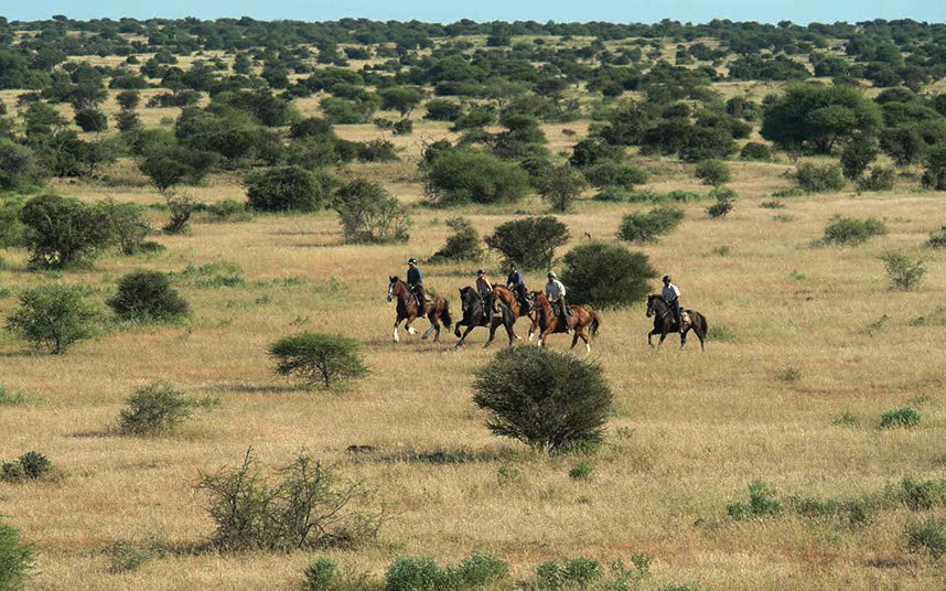Ruta a caballo