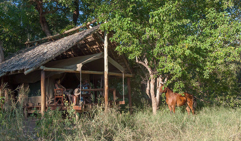 Tienda