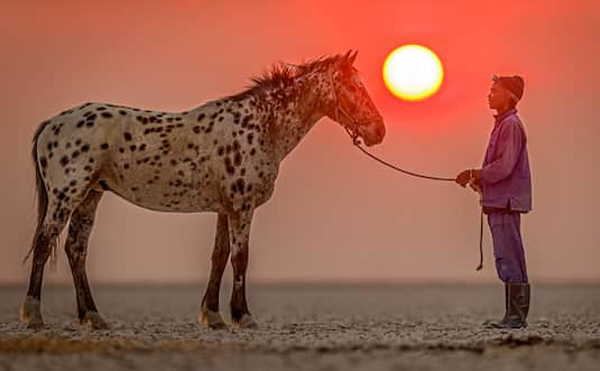 Caballo