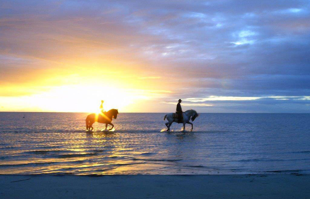 Caballos por la playa