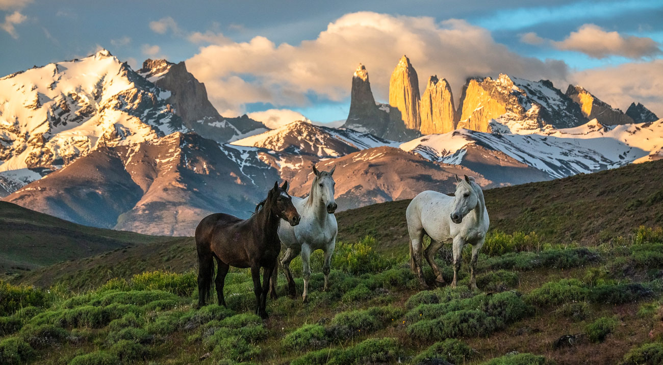 Caballos