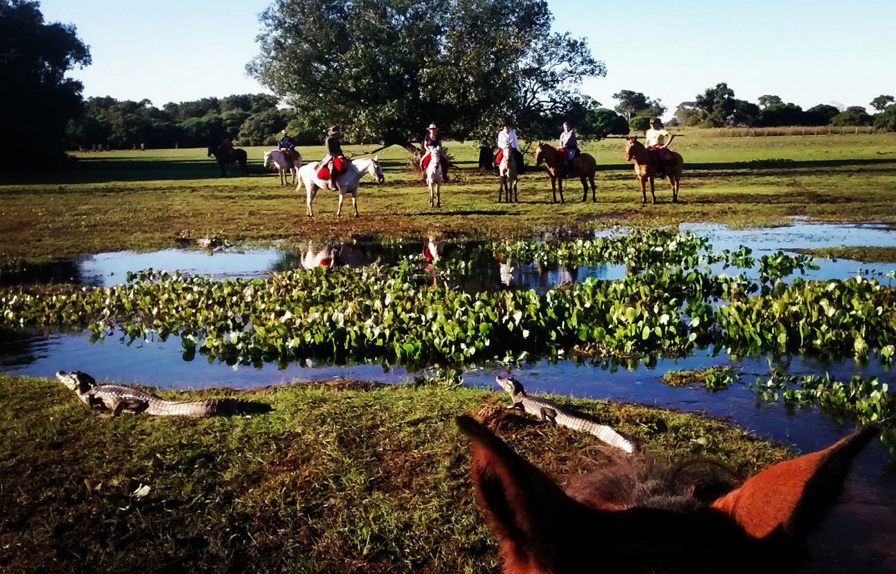 Ruta por el Pantanal