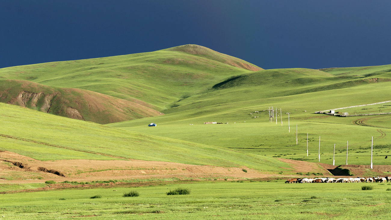 Estepa Mongolia