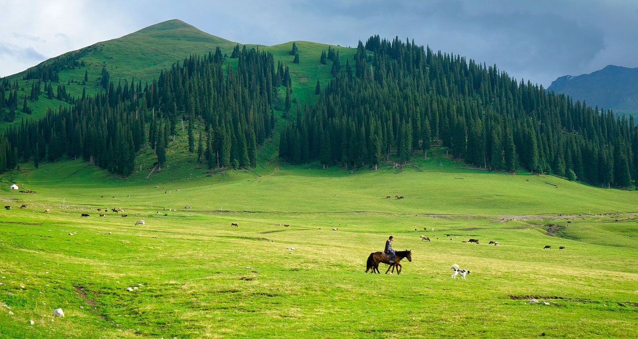 Rutas a Caballo en Norte América