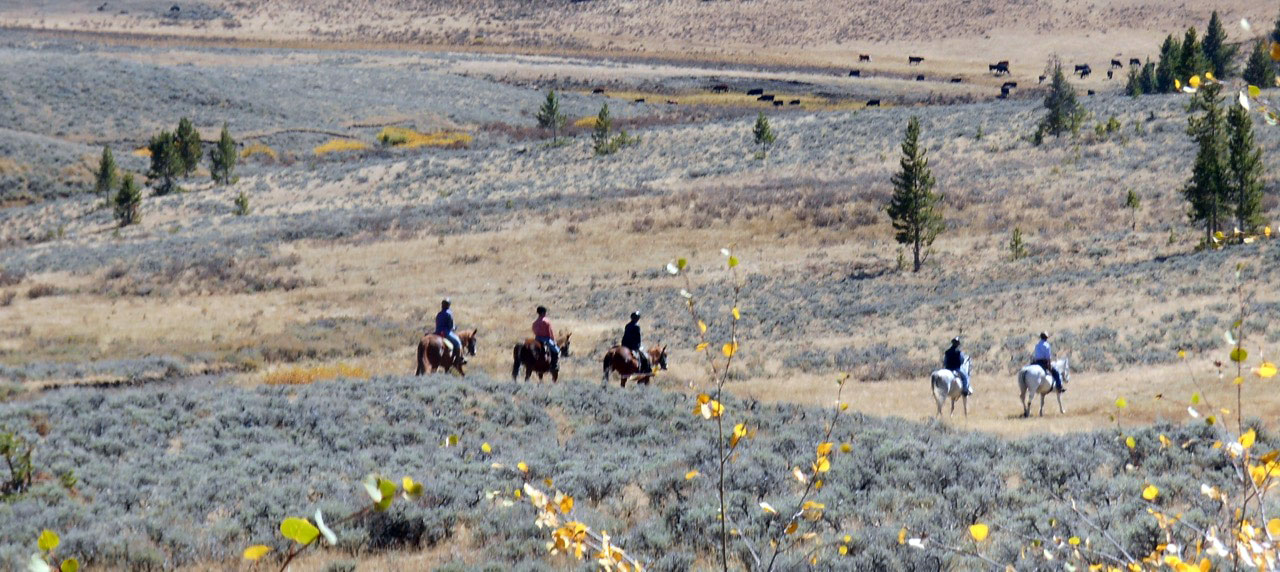 Paseo a caballo