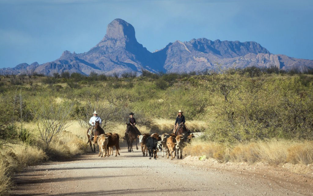 Reiten Arizona Hacienda Ranch