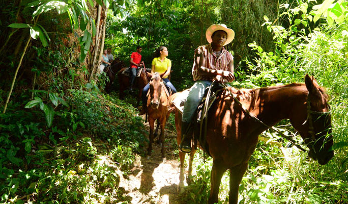 Jungle ride