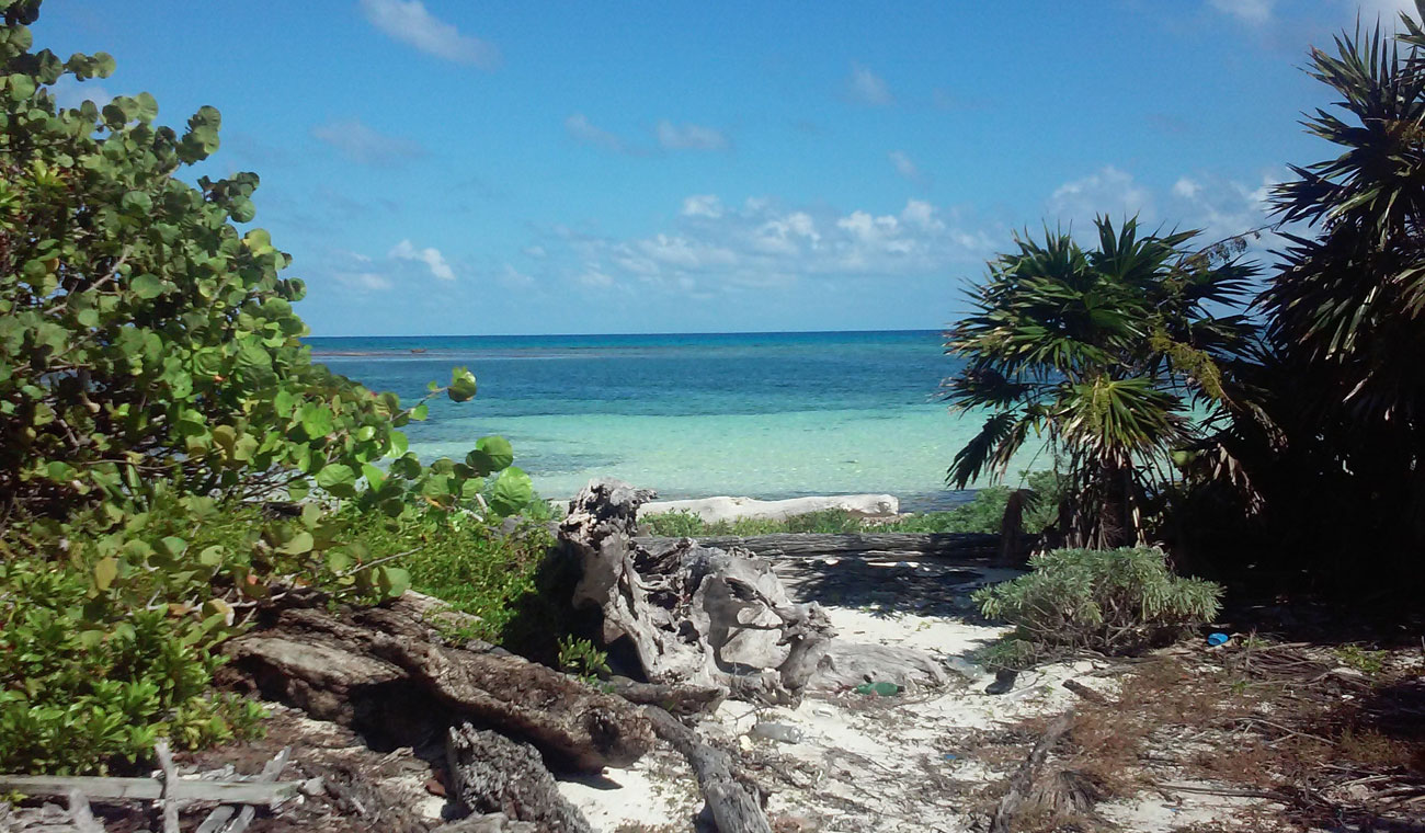 Beach in Belize