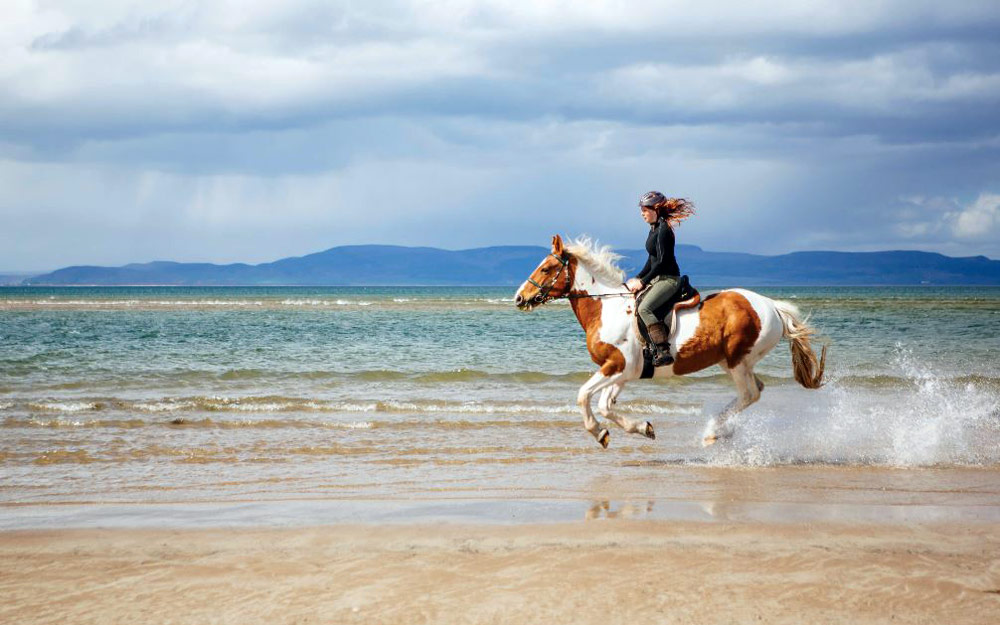 Au galop sur la plage