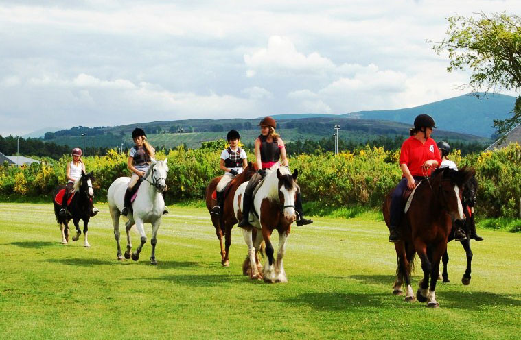 Cours d’équitation