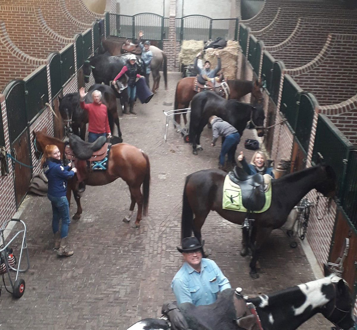 In the stable