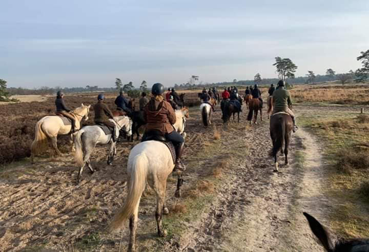 Horseback riding route