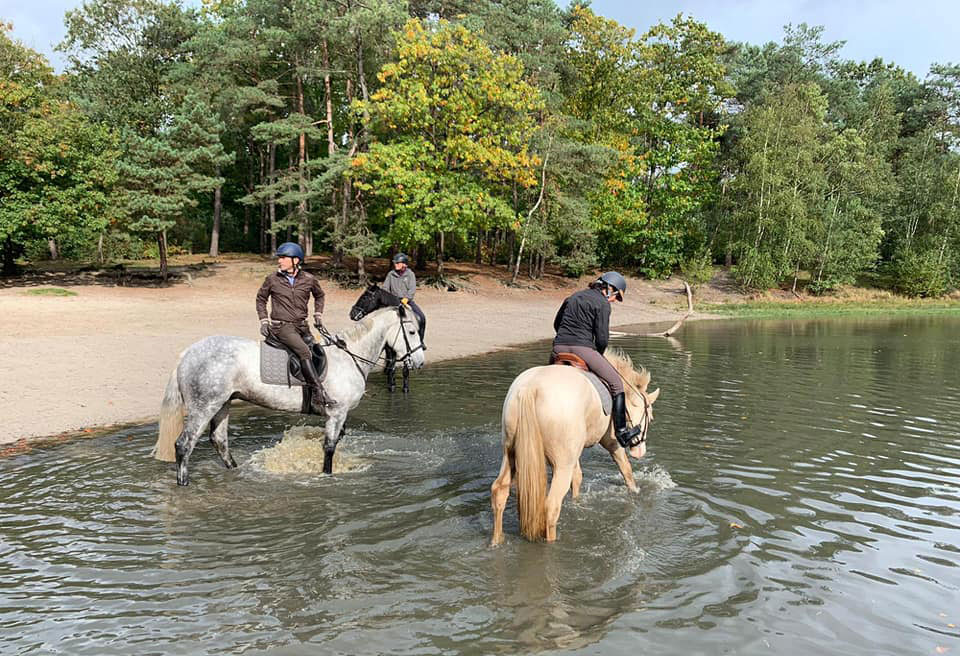 Route by the river
