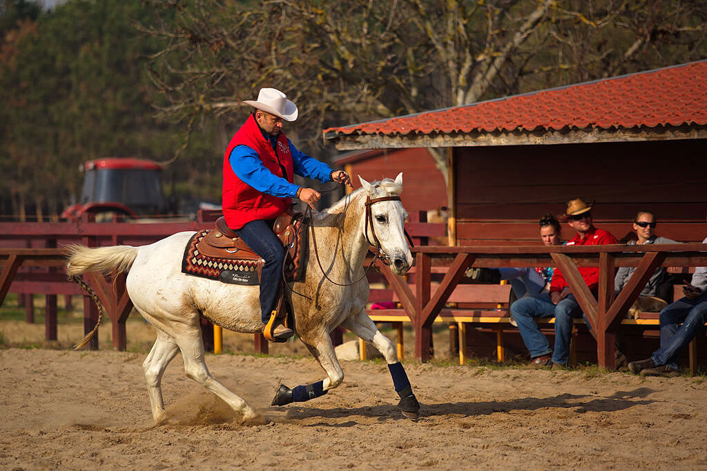 Ungarn Cowboy