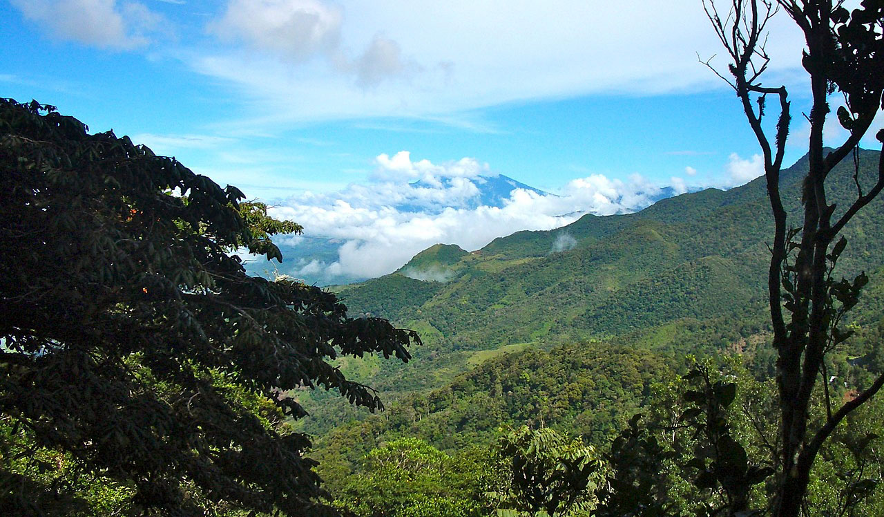Paisaje de Panama