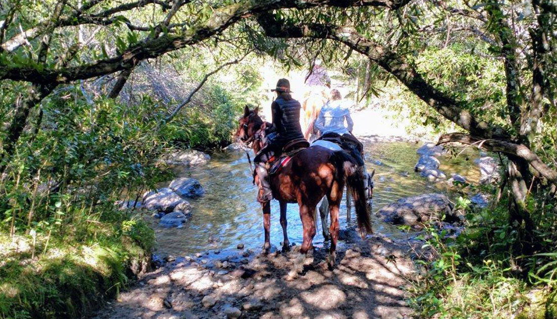 Uruguay Ruta a caballo