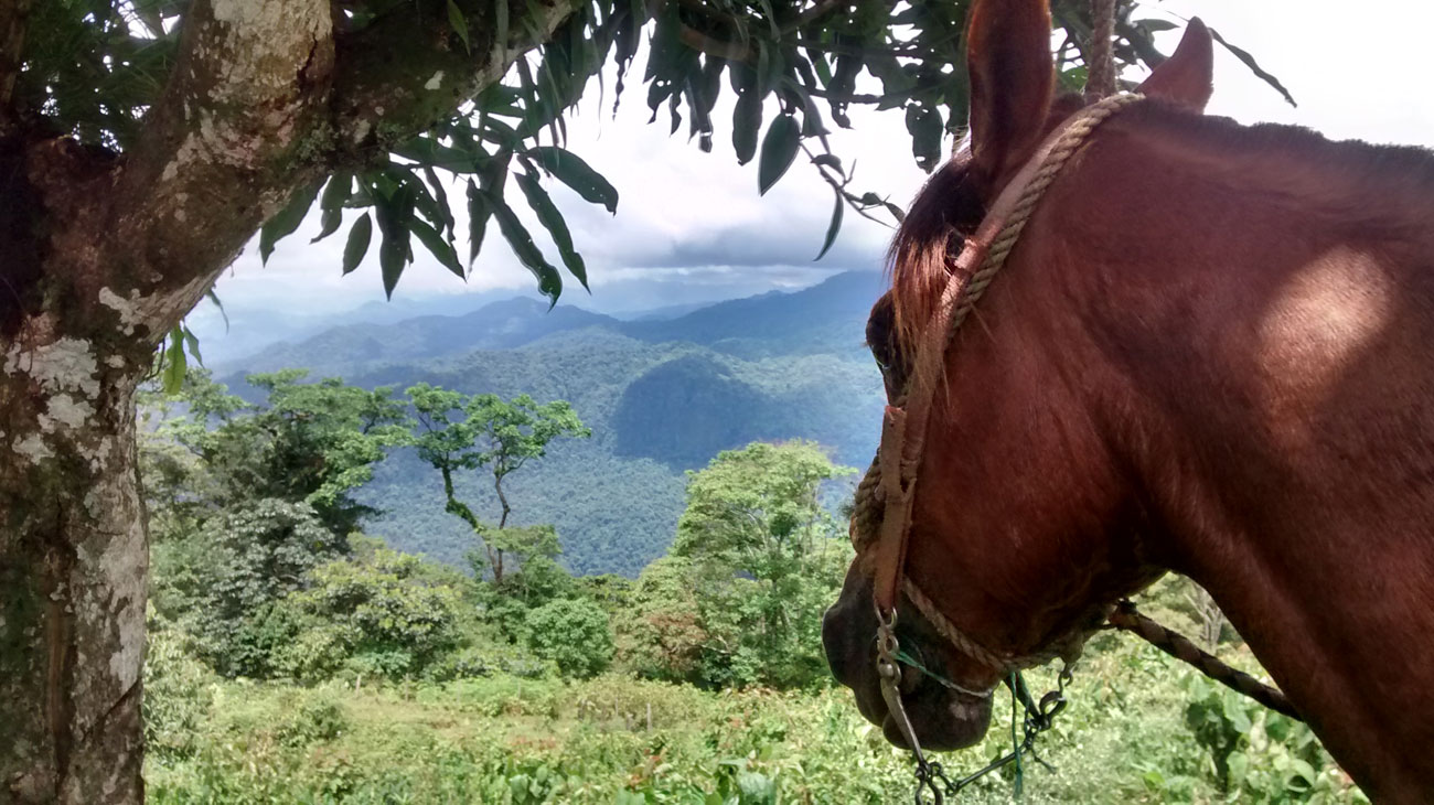 Expedición por la Selva Venezuela