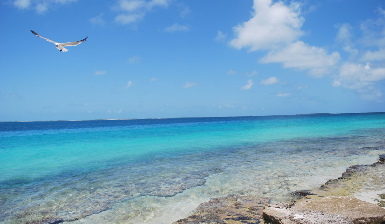 Playa del Caribe Venezolano