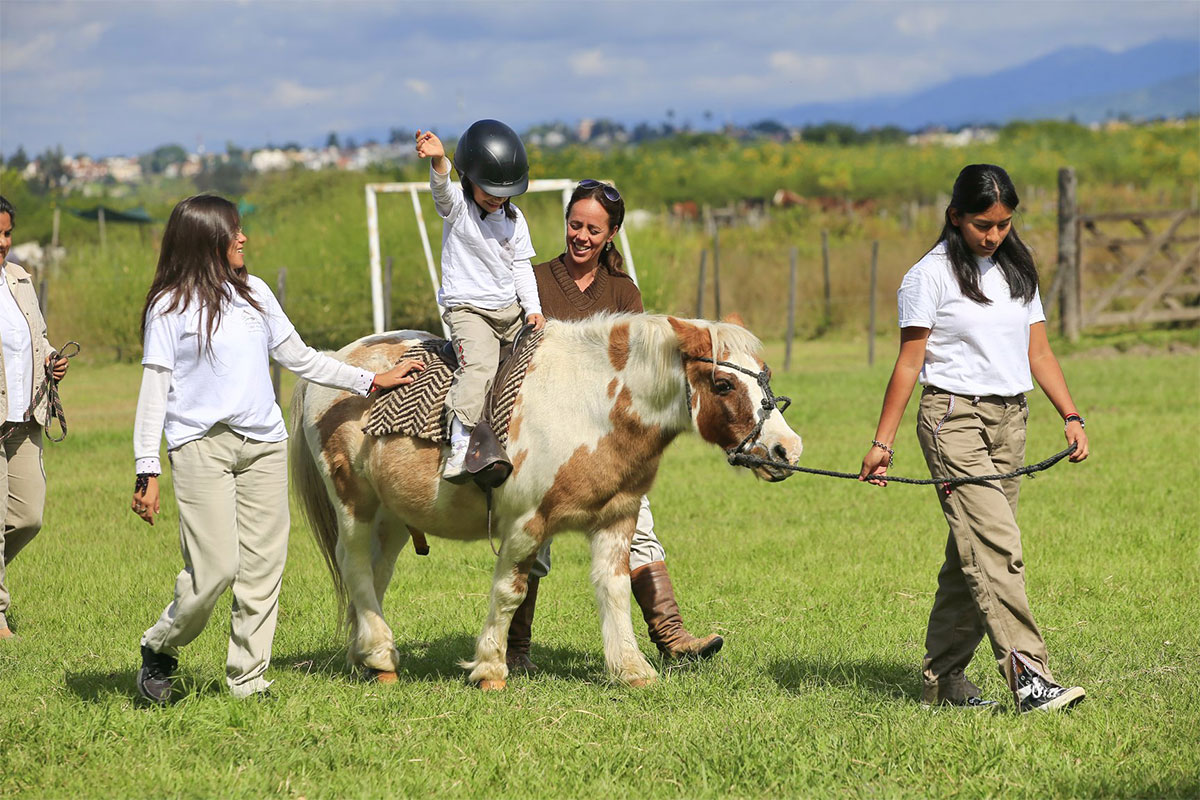 Fundación Azul equinoterapia