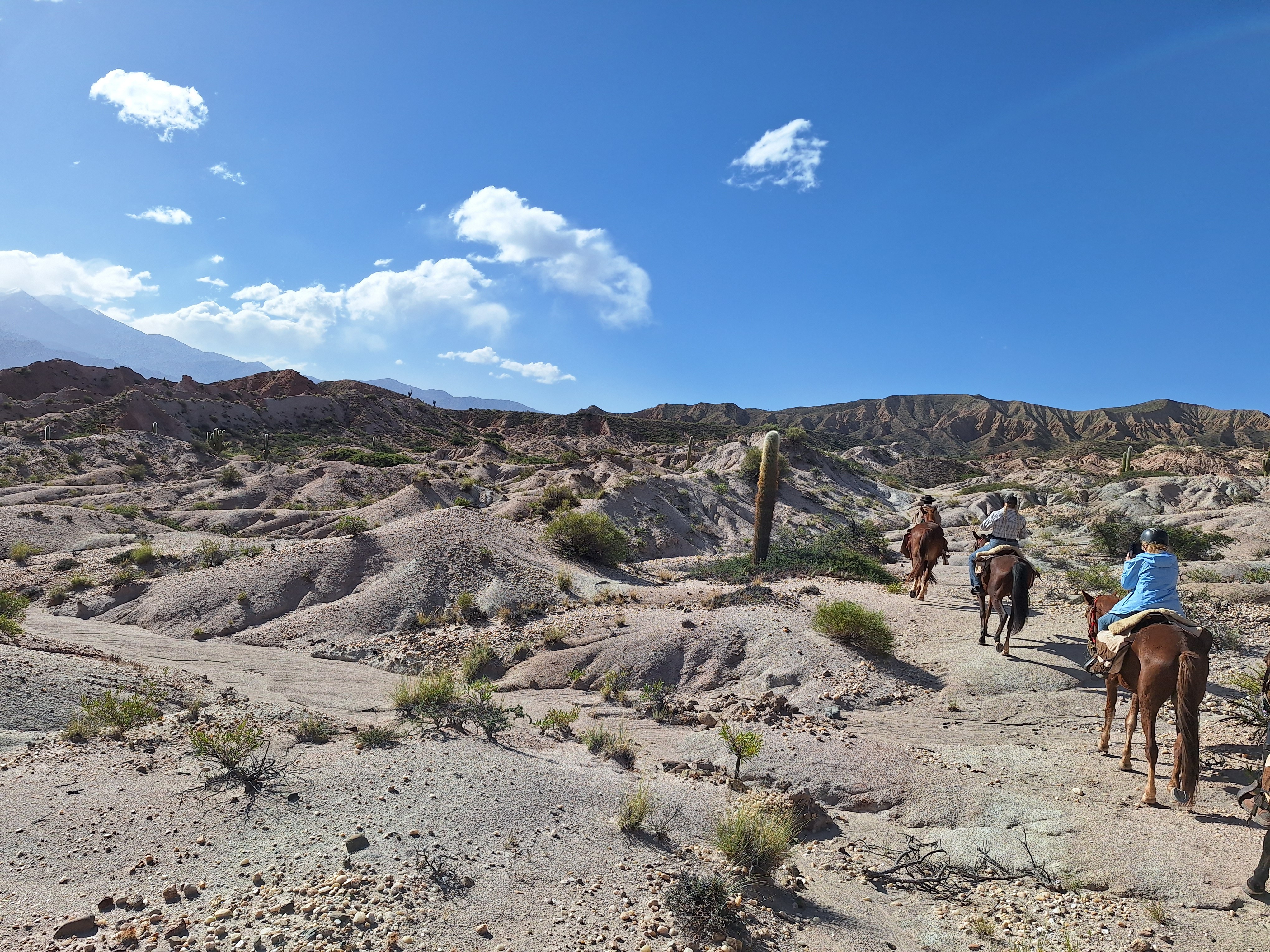 Descubre Argentina a caballo