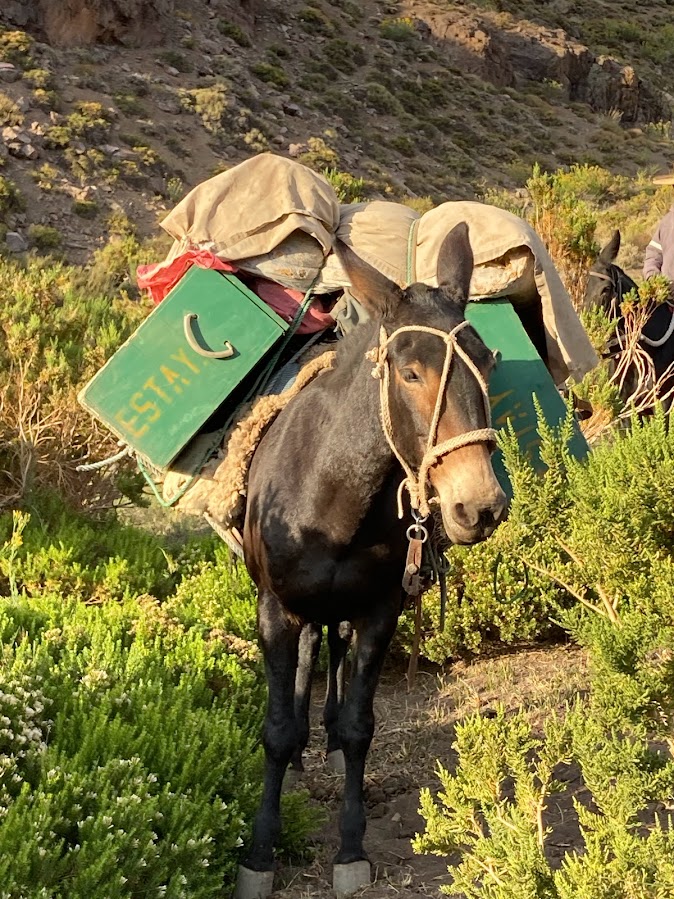Cruce de los Andes a caballo 5