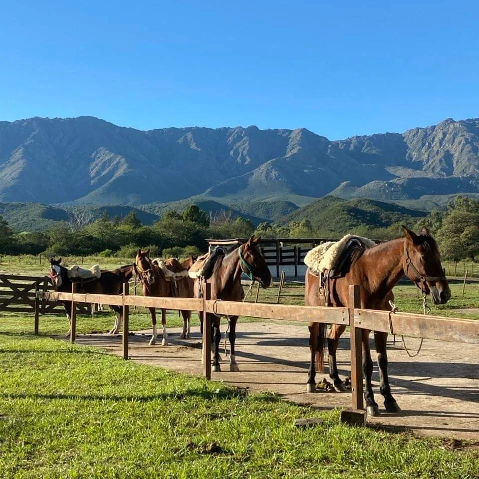 Estancia Haras Ampascachi
